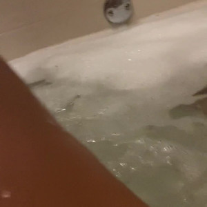 thatgreeneyedgirl22 #5283522