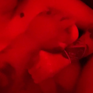 Video by stormiekatt published on June 7,2023 02:31:00 - BestThots