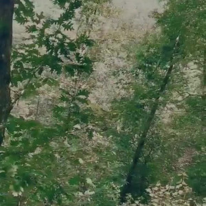 Video by milesstriker published on May 31,2023 14:13:00 - BestThots