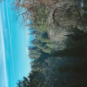 Video by urlilgoddess published on April 4,2023 08:42:00 - BestThots