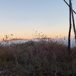 Video by urlilgoddess published on June 18,2023 01:58:00 - BestThots