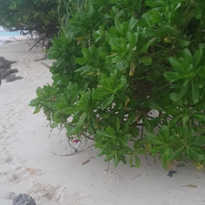 Video by stefani_isabel_ published on August 16,2023 15:47:58 - BestThots