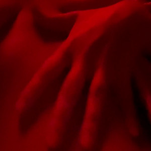 Video by stefani_isabel_ published on August 16,2023 19:16:32 - BestThots