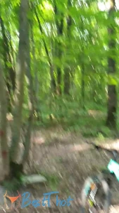 stefani_isabel_ #9740856