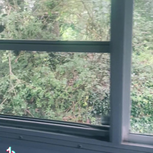 Video by aussiemanadventures published on March 16,2023 07:38:00 - BestThots