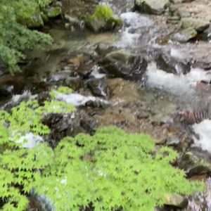 Video by feet_of_suzyq published on March 17,2023 02:23:00 - BestThots