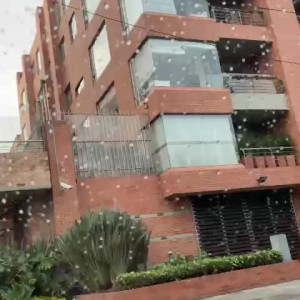 Video by florabella published on January 13,2024 02:10:20 - BestThots