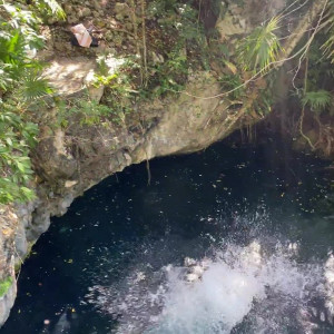 Video by florabella published on January 13,2024 02:10:12 - BestThots