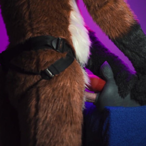 bunnyhunterfox #4617778