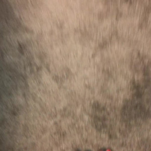 Video by pennylee92 published on August 4,2023 00:10:00 - BestThots