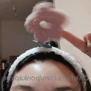 ponkapion #5288441