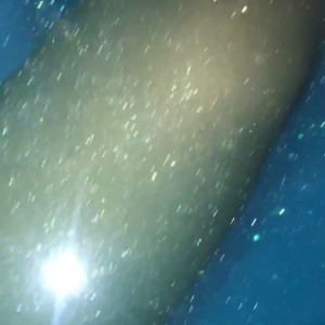 Video by anafoxxx published on November 21,2023 08:19:03 - BestThots