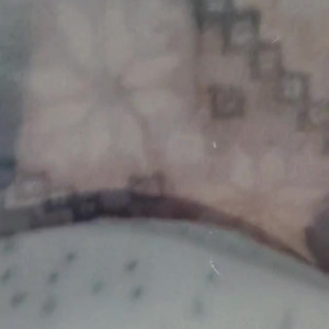 Video by anitadinamitax published on May 23,2023 11:42:00 - BestThots