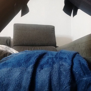 Video by anitadinamitax published on April 7,2023 06:20:00 - BestThots