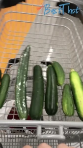 souzanhalabi #9745540