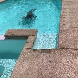 Video by babieybop23 published on June 6,2023 08:57:00 - BestThots
