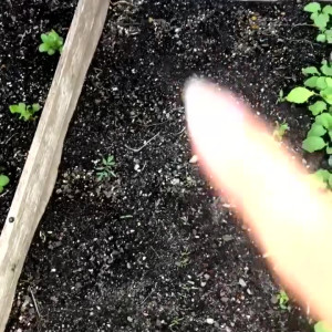 Video by xobrittmariexo published on April 19,2023 17:53:00 - BestThots