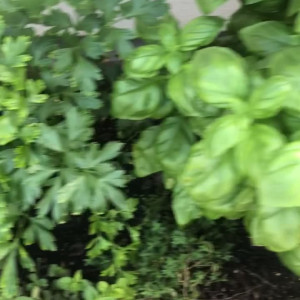 Video by xobrittmariexo published on March 31,2023 21:46:00 - BestThots