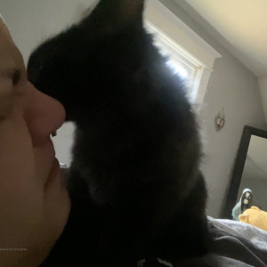 Video by nataliexmuffin_premium published on June 17,2023 10:09:00 - BestThots