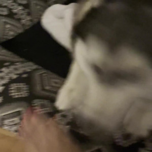 Video by hellomeimei published on March 26,2023 00:20:00 - BestThots