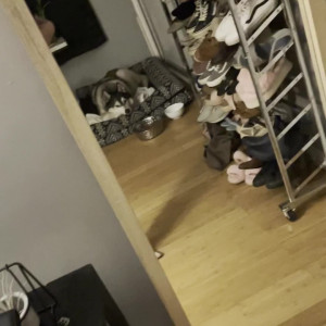 Video by hellomeimei published on May 6,2023 18:27:00 - BestThots