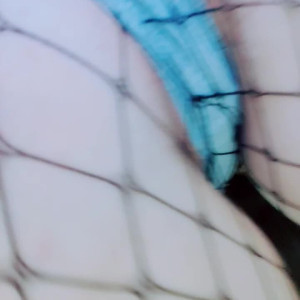 Video by mikomihokina published on April 28,2023 04:55:00 - BestThots