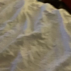 Video by ravioliexpress published on April 26,2023 17:38:00 - BestThots
