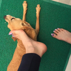 Video by scarletbunnyy published on March 23,2023 01:39:00 - BestThots