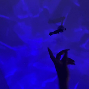 Video by sashastrokes published on May 16,2023 05:28:00 - BestThots