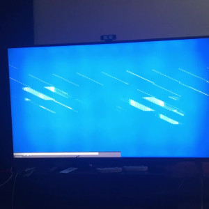 Video by sashastrokes published on June 13,2023 05:29:00 - BestThots
