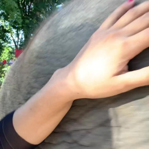 Video by kinglexa published on May 5,2023 02:06:00 - BestThots