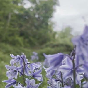 Video by majikmilk published on March 27,2023 07:10:00 - BestThots