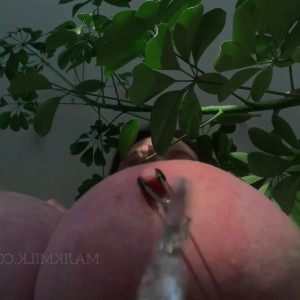 Video by majikmilk published on August 3,2023 06:38:00 - BestThots