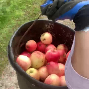 Video by eatee published on June 7,2023 08:22:00 - BestThots