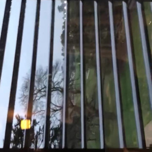 Video by taramayxx published on July 2,2023 16:05:00 - BestThots