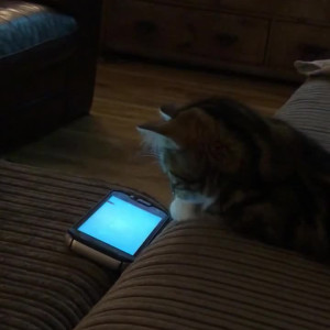 Video by taramayxx published on May 19,2023 06:58:00 - BestThots