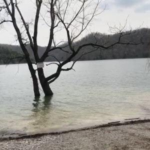 Video by venuslux published on May 8,2023 08:18:00 - BestThots