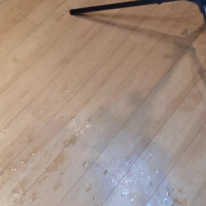 jasminejamesxx1 #5796044