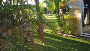 jasminejamesxx1 #9739542