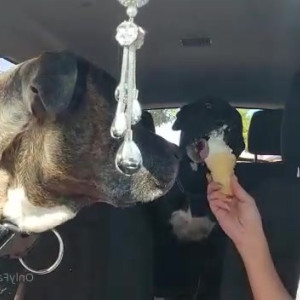 kyliecupcake #5134392