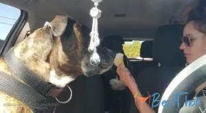 kyliecupcake #9743057