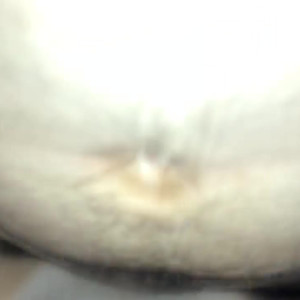 Video by queen_soft400 published on March 13,2023 02:24:00 - BestThots