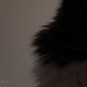 Video by ramenslurperr published on July 8,2023 10:00:00 - BestThots