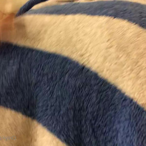 Video by ramenslurperr published on March 11,2023 04:47:00 - BestThots