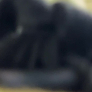 Video by deargoddesssara published on April 13,2023 14:37:00 - BestThots