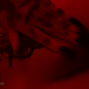 Video by plantmamiiii published on March 27,2023 13:03:00 - BestThots