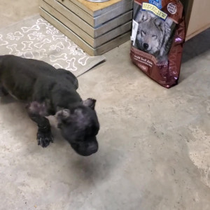 Video by christymack published on April 29,2023 22:36:00 - BestThots