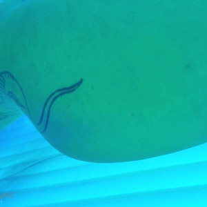 Video by christymack published on June 27,2023 18:12:00 - BestThots