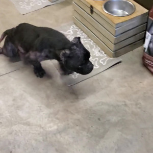Video by christymack published on March 13,2023 13:10:00 - BestThots