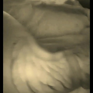 Video by taracaballero published on May 16,2023 00:44:00 - BestThots